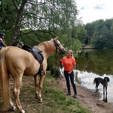 L'Echappee Verte - Gite Equestre 5 Pers Soucht 외부 사진