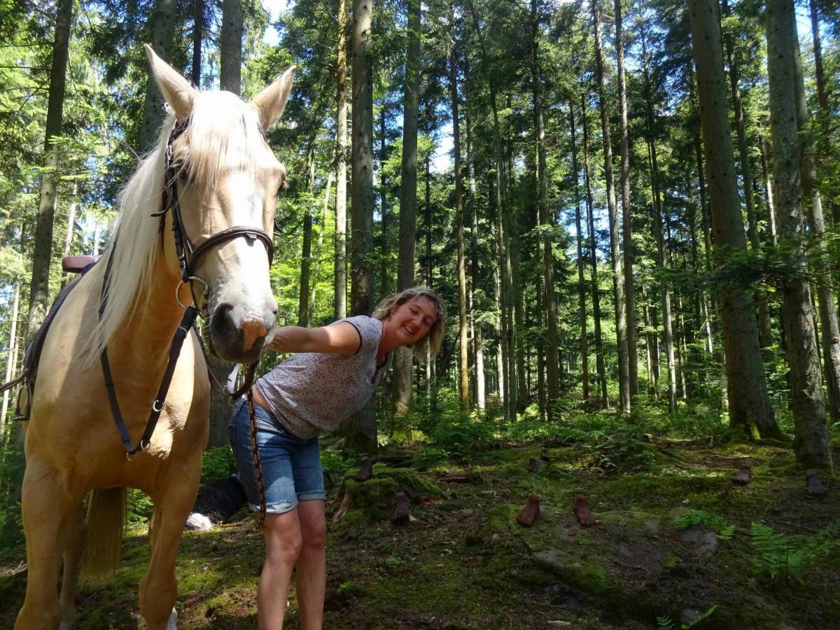 L'Echappee Verte - Gite Equestre 5 Pers Soucht 외부 사진