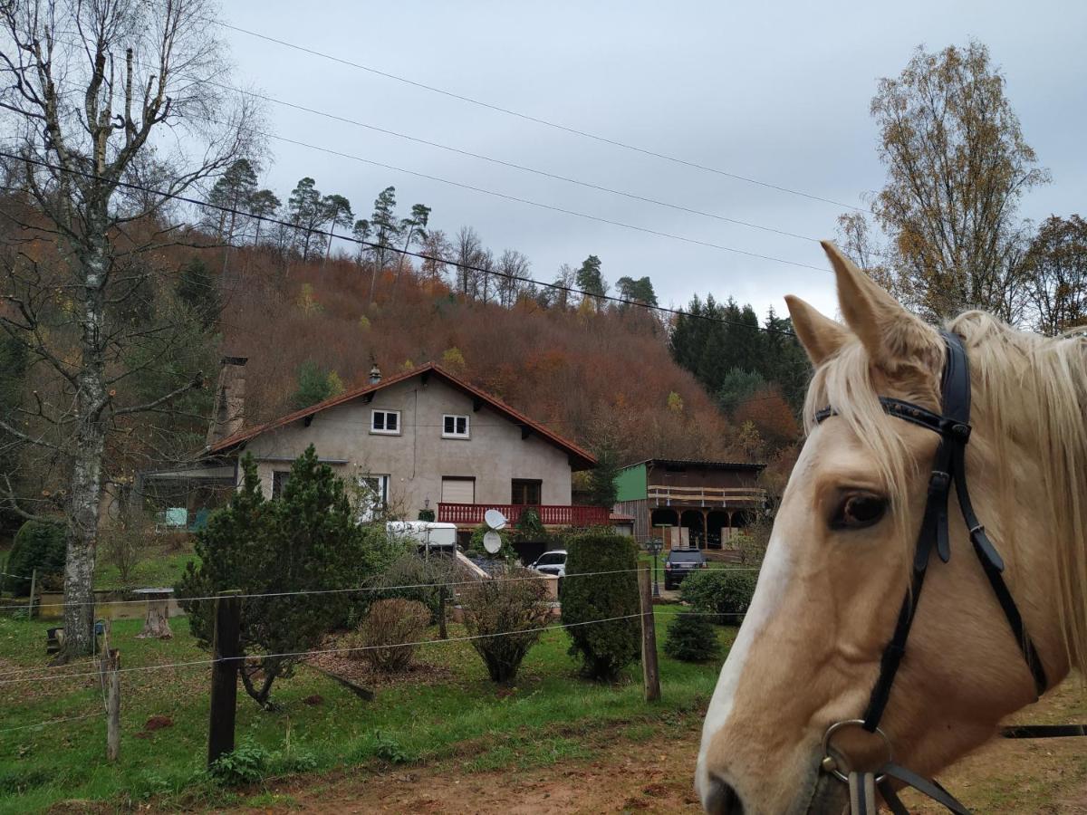 L'Echappee Verte - Gite Equestre 5 Pers Soucht 외부 사진